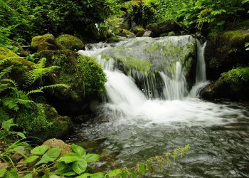 Waterfall in Mtirala National Park