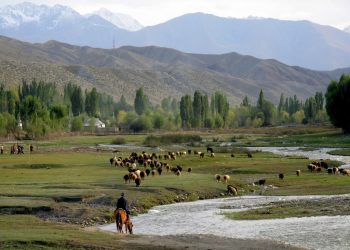 Southern Shore of Issyk Kul